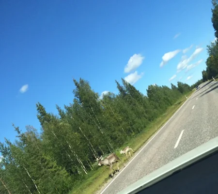 IMG_6605.webp IMG_6605.webp