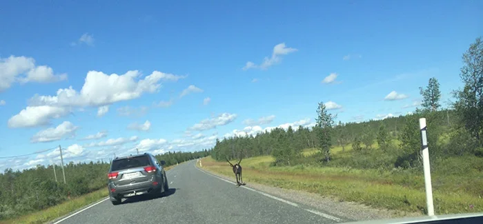 IMG_6607.webp IMG_6607.webp