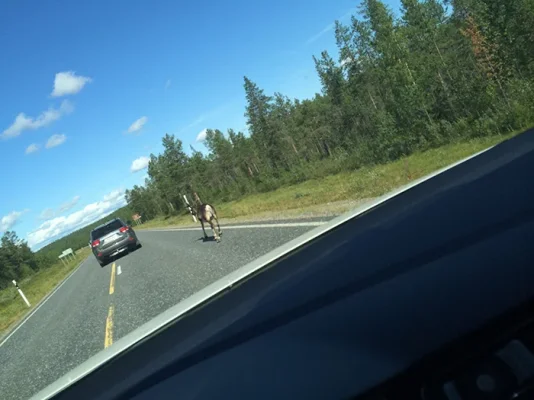 IMG_6609.webp IMG_6609.webp