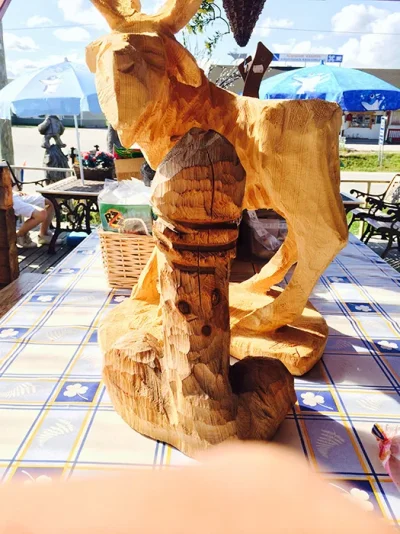 IMG_6611.webp IMG_6611.webp