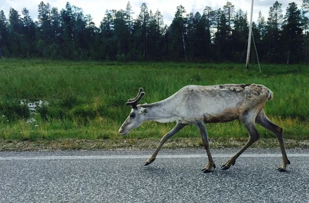 IMG_6621.webp IMG_6621.webp