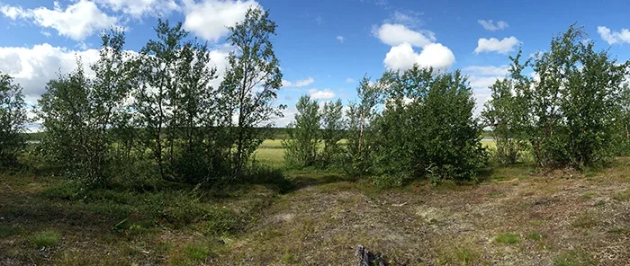 IMG_6629.webp IMG_6629.webp