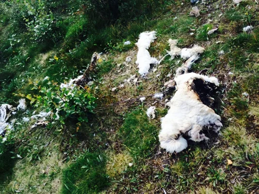 IMG_6630.webp IMG_6630.webp