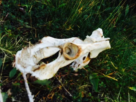 IMG_6631.webp IMG_6631.webp