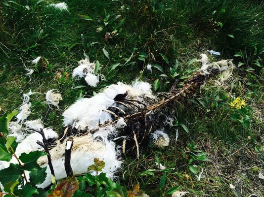 IMG_6632.webp IMG_6632.webp