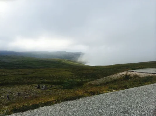 IMG_6704.webp IMG_6704.webp