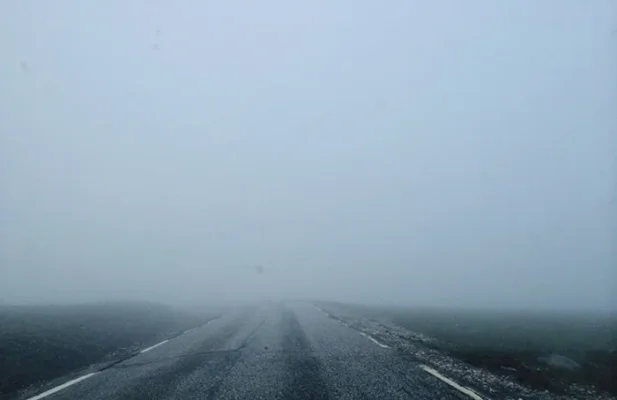 IMG_6706.webp IMG_6706.webp