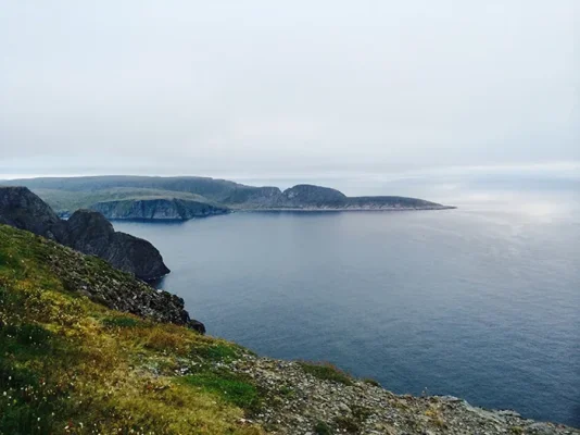 IMG_6755.webp IMG_6755.webp