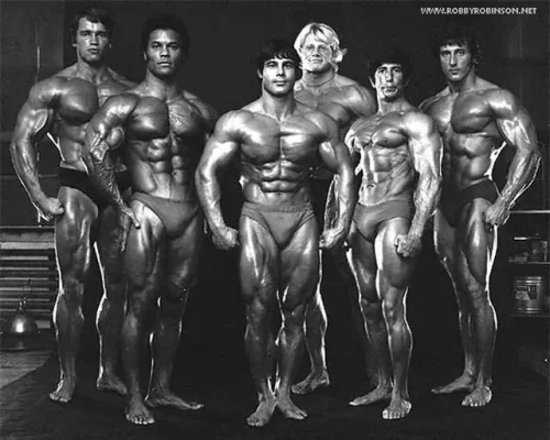 BODYBUILDING_LEGENDS_GOLDEN_ERA_70S_ARNOLD_SCHWARZENEGGER_SERGE_NOUBRET_FRANCO_COLUMBU_DAVE_D...webp