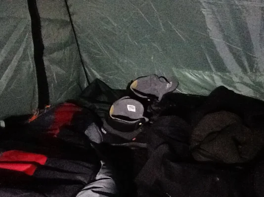 image.webp image.webp