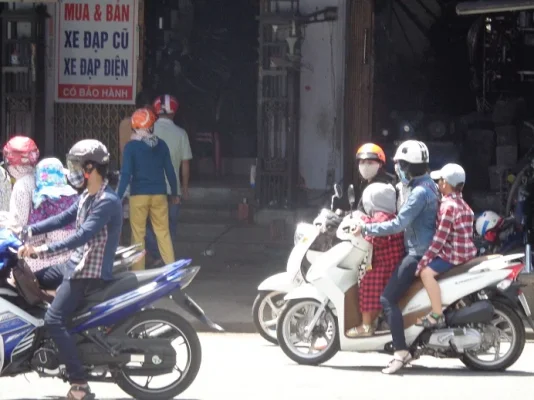 muotia ja kuonokoppia.webp muotia ja kuonokoppia.webp