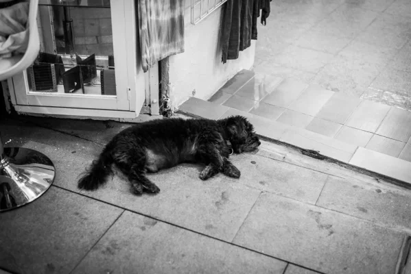 Pakkis yöelämä-19.webp Pakkis yöelämä-19.webp