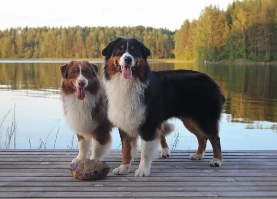 IMG_6451,30 (3).webp