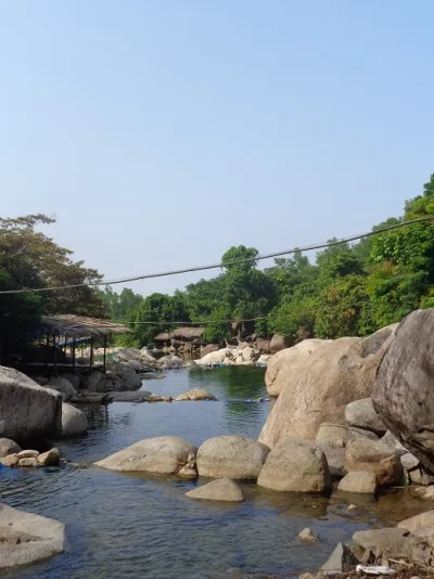 elephant springs 2.webp elephant springs 2.webp