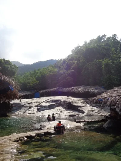 elephant springs 4.webp elephant springs 4.webp