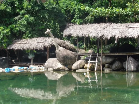 elephant springs 5.webp elephant springs 5.webp