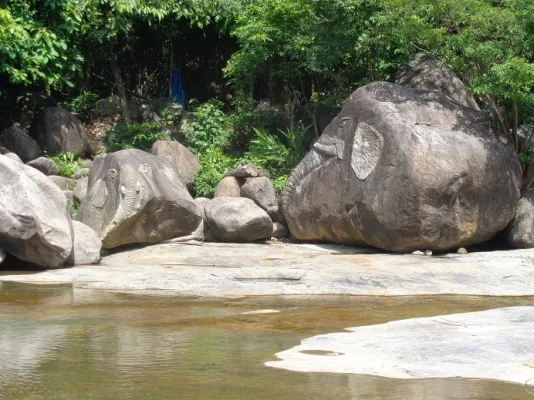 elephant springs 6.webp elephant springs 6.webp