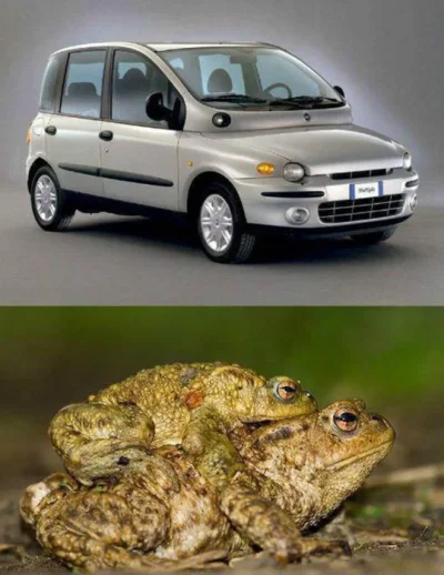 funny-ugly-car-frog-similar.webp