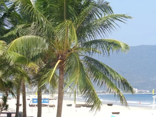 danangbeach3.webp danangbeach3.webp