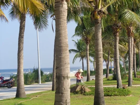 danang.webp danang.webp