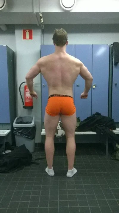 anatominen takaa.webp anatominen takaa.webp