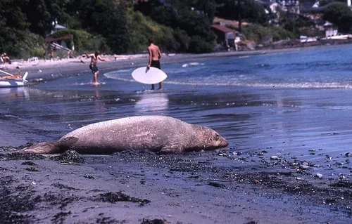 3408621552_40591fd611_z.webp 3408621552_40591fd611_z.webp