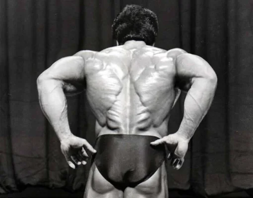 drobson293j.webp drobson293j.webp