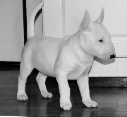 1376466_10152465829196381_9115870699527385999_n.webp 1376466_10152465829196381_9115870699527385999_n.webp