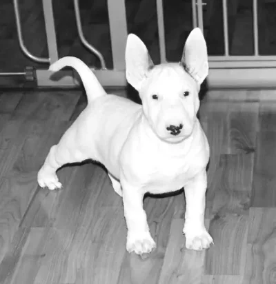 10712712_10152465829296381_1514413616042019670_n.webp 10712712_10152465829296381_1514413616042019670_n.webp