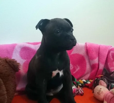 sevi istuu.webp sevi istuu.webp