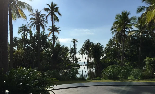 IMG_2436.webp IMG_2436.webp