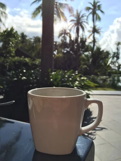 IMG_2446.webp IMG_2446.webp