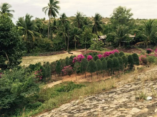 ImageUploadedByTapatalk1417774659.233178.webp ImageUploadedByTapatalk1417774659.233178.webp