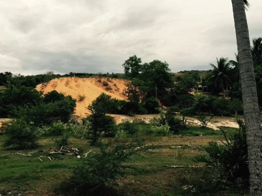 ImageUploadedByTapatalk1417774685.396817.webp ImageUploadedByTapatalk1417774685.396817.webp