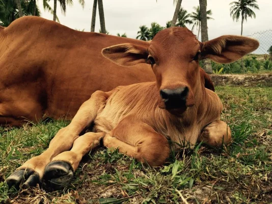 ImageUploadedByTapatalk1417774763.952188.webp ImageUploadedByTapatalk1417774763.952188.webp