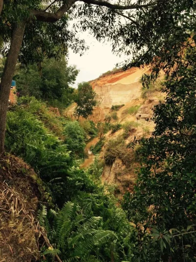 ImageUploadedByTapatalk1417774889.132419.webp ImageUploadedByTapatalk1417774889.132419.webp