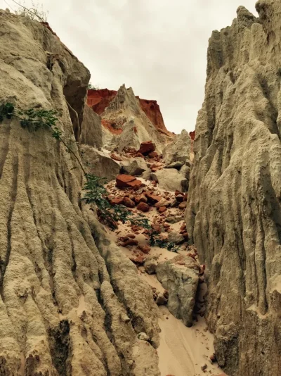 ImageUploadedByTapatalk1417775438.746596.webp ImageUploadedByTapatalk1417775438.746596.webp