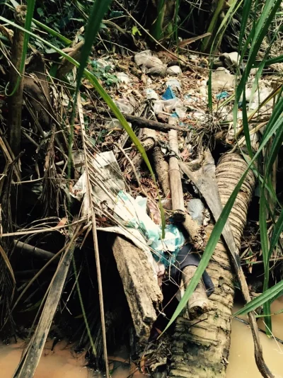 ImageUploadedByTapatalk1417775930.412916.webp ImageUploadedByTapatalk1417775930.412916.webp