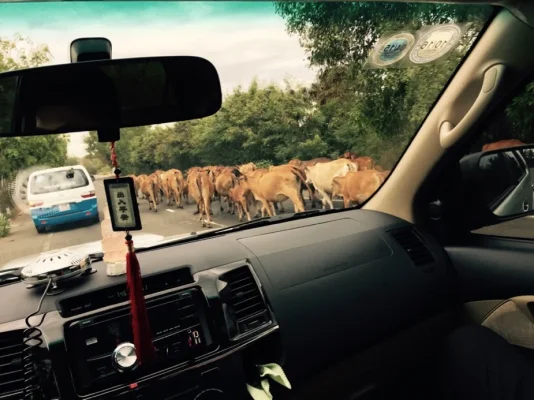 ImageUploadedByTapatalk1417777954.628465.webp ImageUploadedByTapatalk1417777954.628465.webp