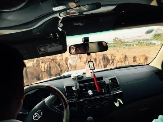 ImageUploadedByTapatalk1417778447.741591.webp ImageUploadedByTapatalk1417778447.741591.webp