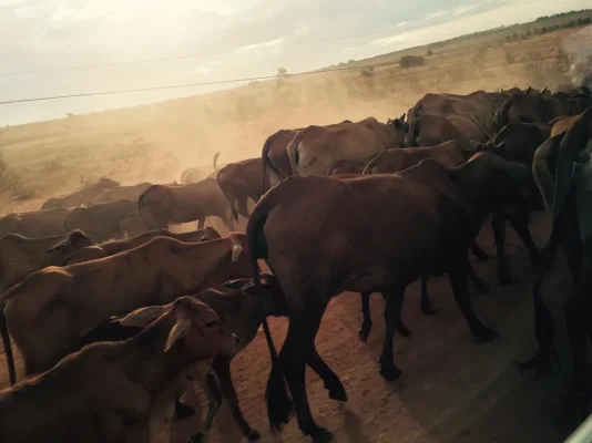 ImageUploadedByTapatalk1417778465.633335.webp ImageUploadedByTapatalk1417778465.633335.webp