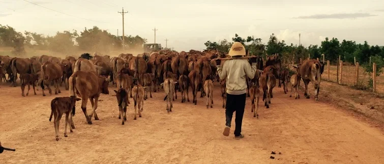 ImageUploadedByTapatalk1417778510.008863.webp ImageUploadedByTapatalk1417778510.008863.webp