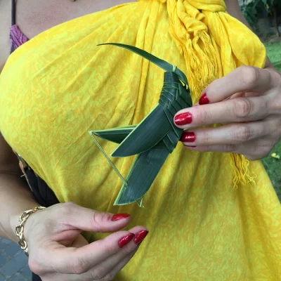 IMG_2582.webp IMG_2582.webp