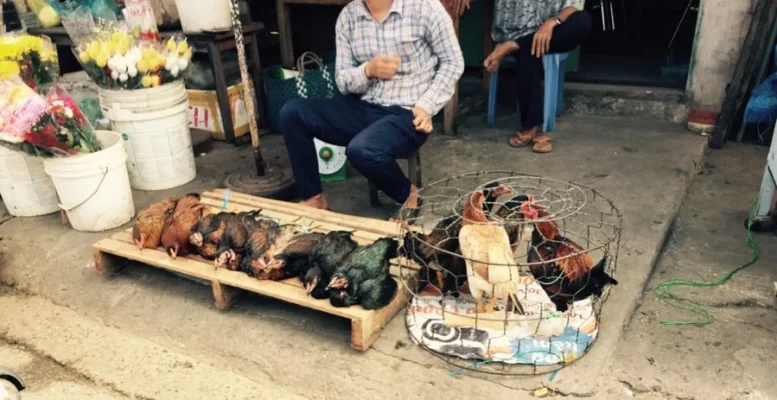 ImageUploadedByTapatalk1417988177.137077.webp ImageUploadedByTapatalk1417988177.137077.webp