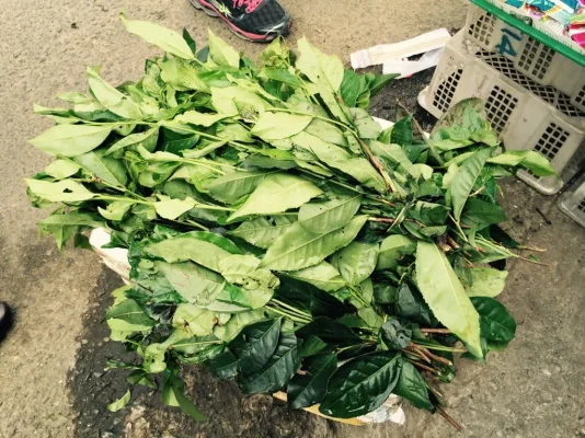 ImageUploadedByTapatalk1417988313.388667.webp ImageUploadedByTapatalk1417988313.388667.webp