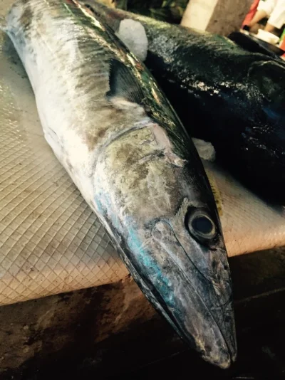 ImageUploadedByTapatalk1417988331.097086.webp ImageUploadedByTapatalk1417988331.097086.webp