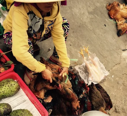 ImageUploadedByTapatalk1417988437.317319.webp ImageUploadedByTapatalk1417988437.317319.webp