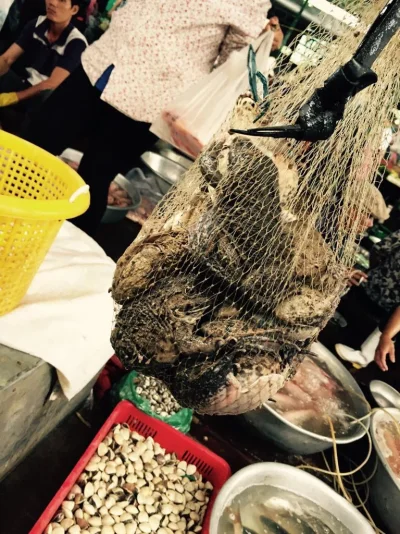 ImageUploadedByTapatalk1417988567.599665.webp ImageUploadedByTapatalk1417988567.599665.webp