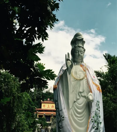 ImageUploadedByTapatalk1417988883.106886.webp ImageUploadedByTapatalk1417988883.106886.webp