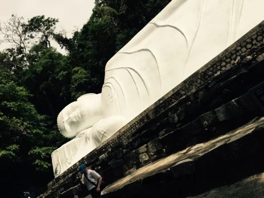 ImageUploadedByTapatalk1417989165.347017.webp ImageUploadedByTapatalk1417989165.347017.webp